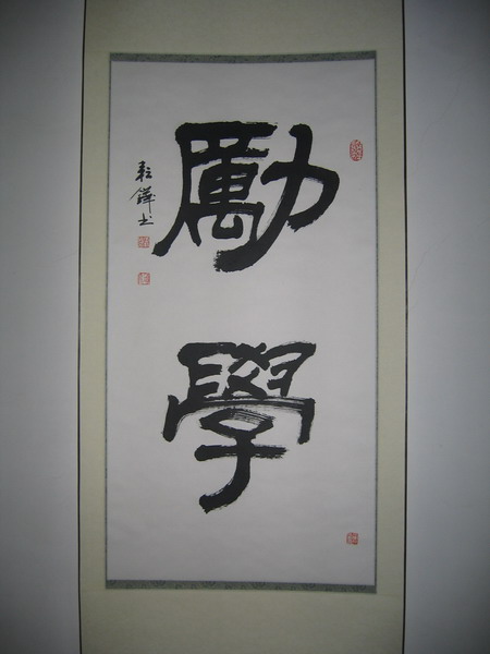 纲手的秘密免费观看全集