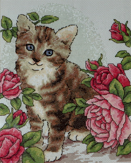 纲手的秘密免费观看全集