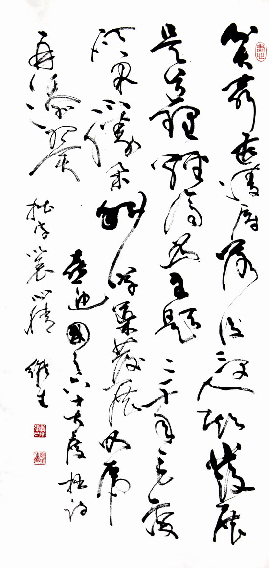 纲手的秘密免费观看全集