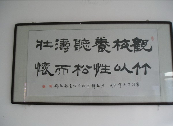 纲手的秘密免费观看全集