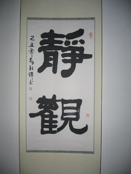 纲手的秘密免费观看全集