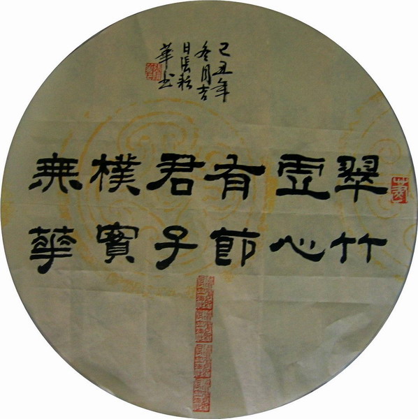 纲手的秘密免费观看全集