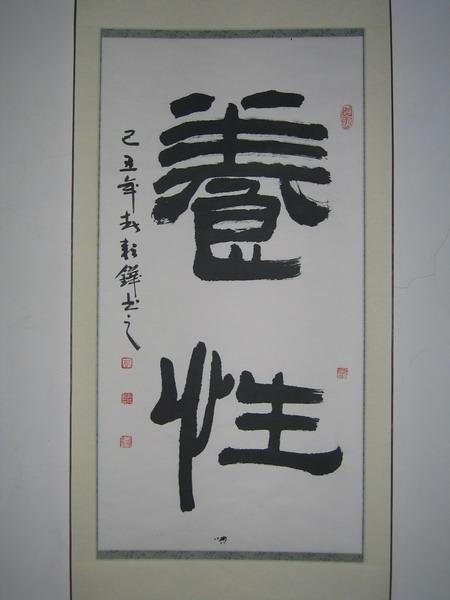 纲手的秘密免费观看全集