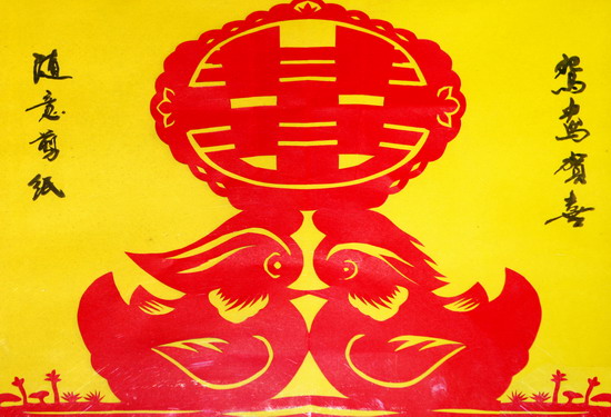 纲手的秘密免费观看全集