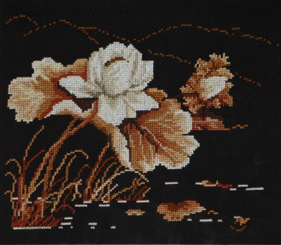 纲手的秘密免费观看全集