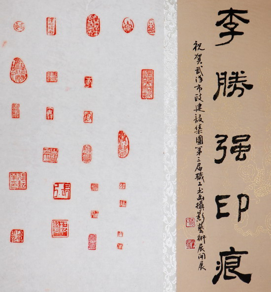 纲手的秘密免费观看全集