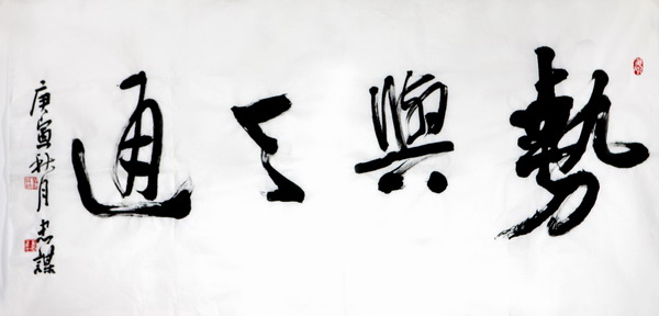 纲手的秘密免费观看全集