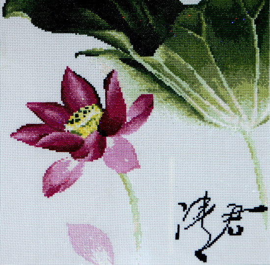 纲手的秘密免费观看全集