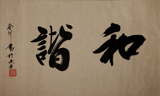 纲手的秘密免费观看全集