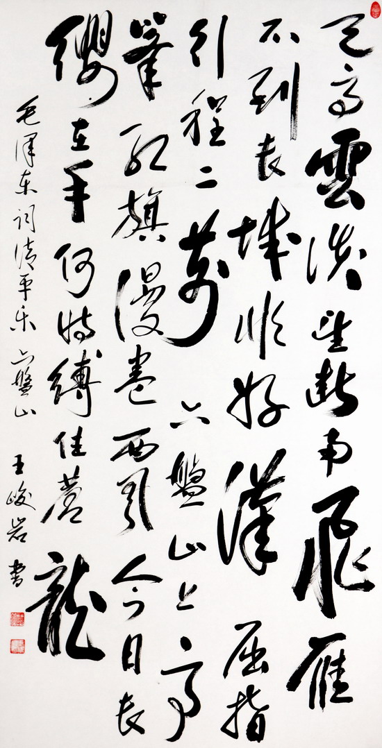 纲手的秘密免费观看全集