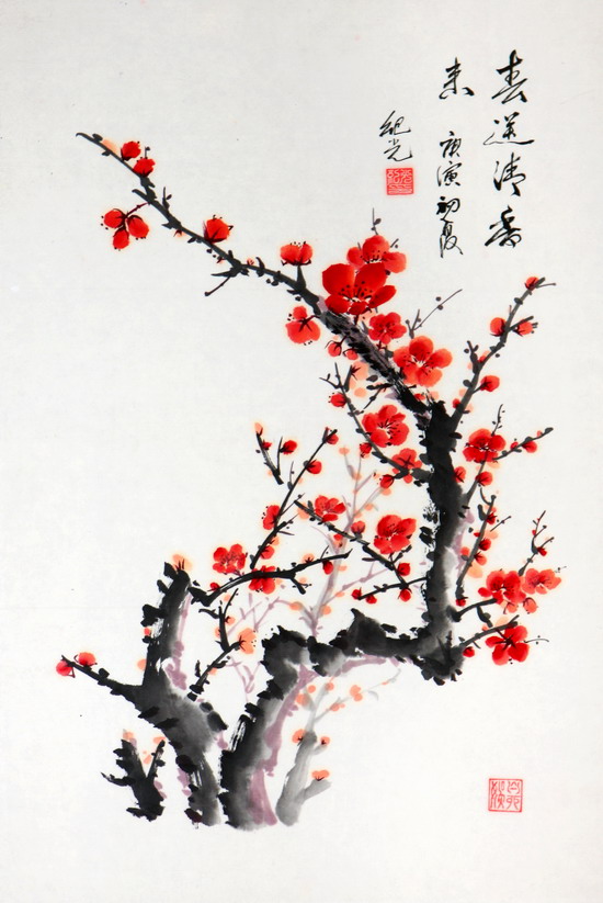 纲手的秘密免费观看全集