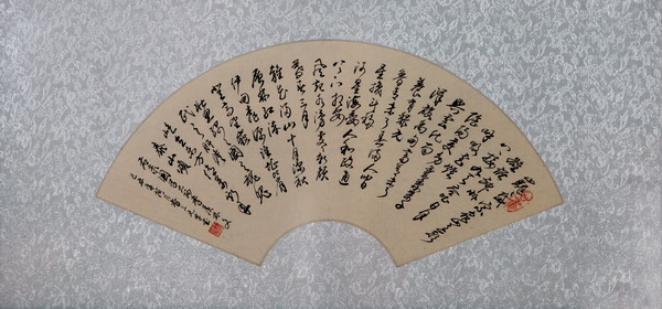 纲手的秘密免费观看全集