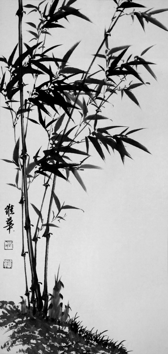 纲手的秘密免费观看全集