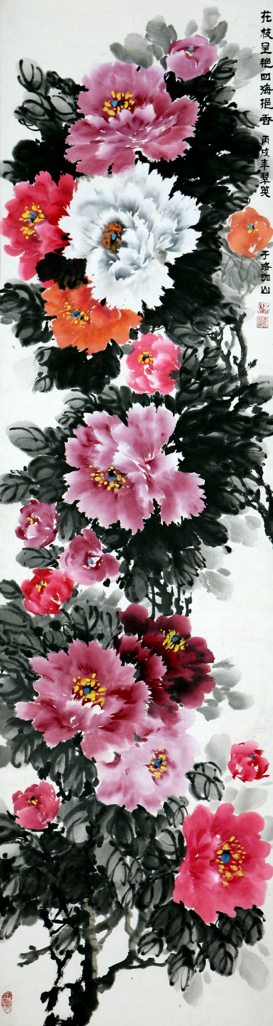 纲手的秘密免费观看全集