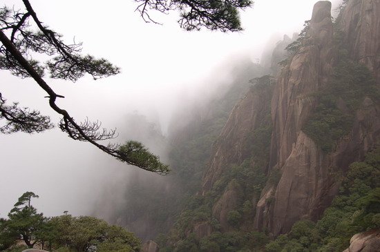 纲手的秘密免费观看全集