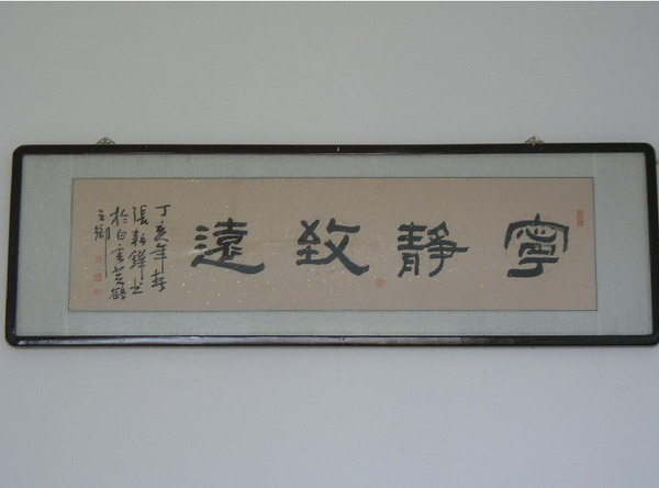 纲手的秘密免费观看全集